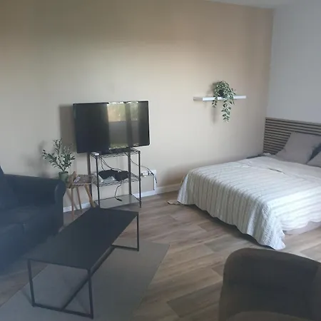 1centre Avec Parking Apartman